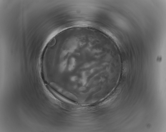 X0000097511467200802221456