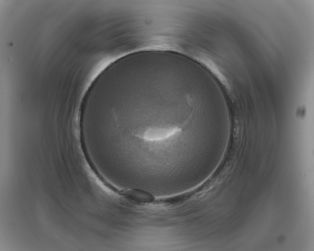 X0000097511468200802221456