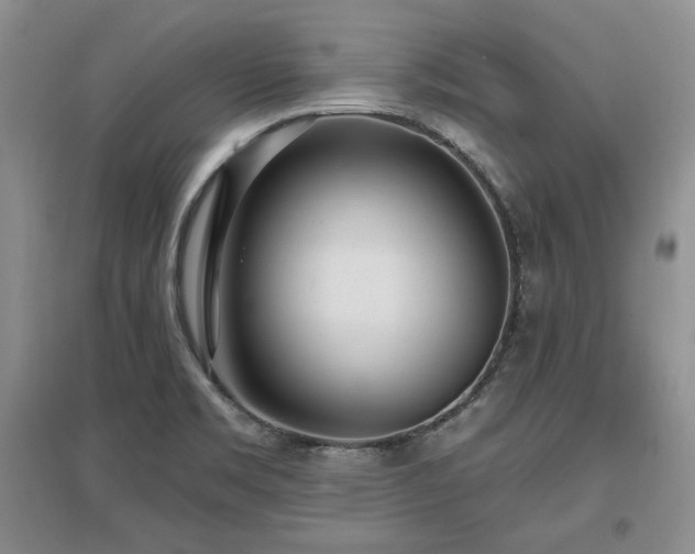 X0000097511469200802221456