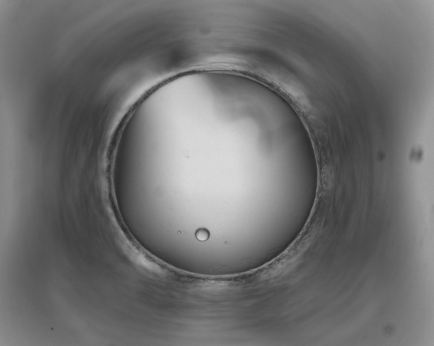 X0000097511470200802221456