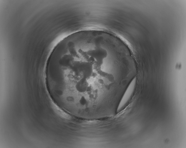 X0000097511471200802221456