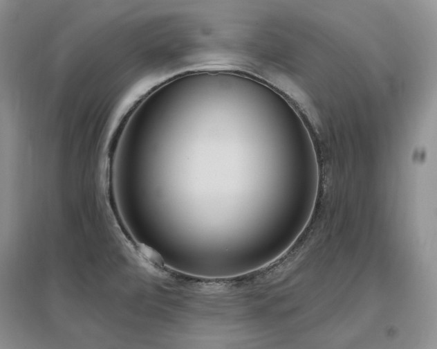X0000097511472200802221456