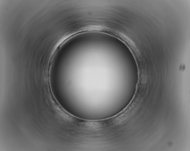 X0000097511473200802221456