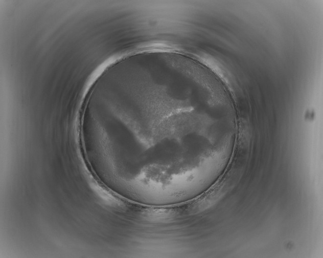 X0000097511474200802221456