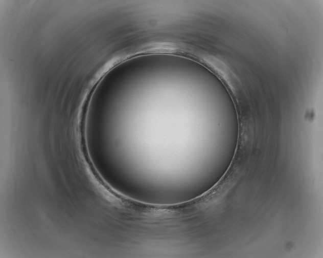 X0000097511475200802221456