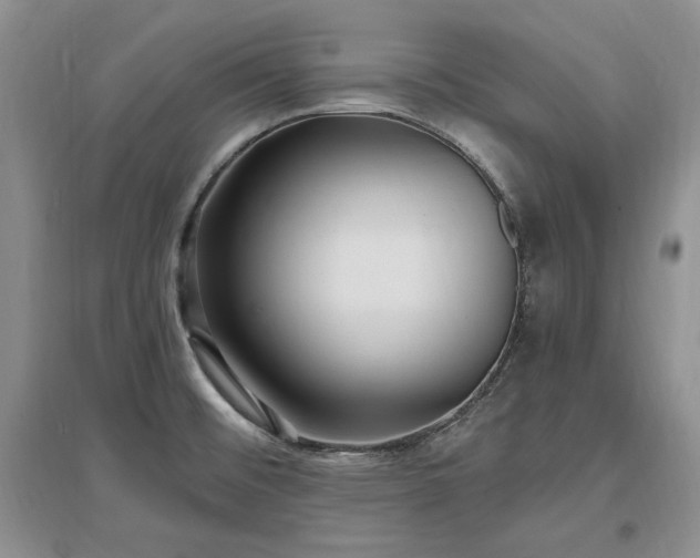 X0000097511476200802221456
