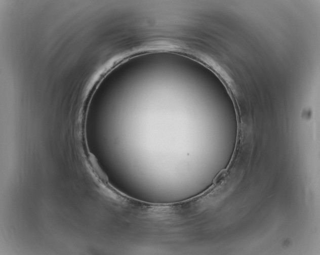 X0000097511477200802221456