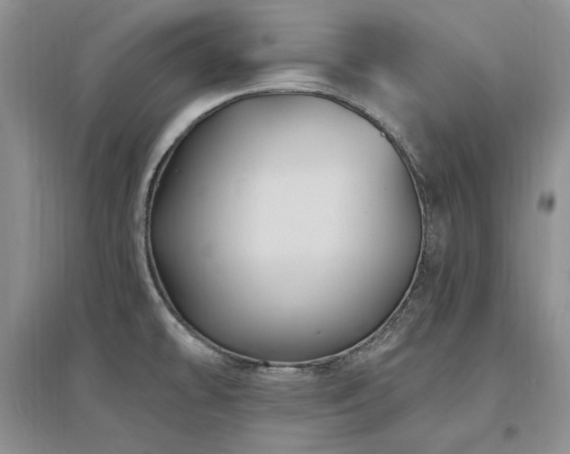 X0000097511478200802221456