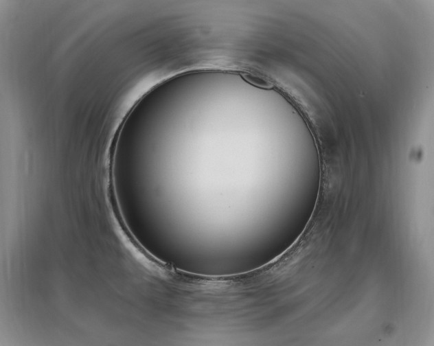 X0000097511479200802221456