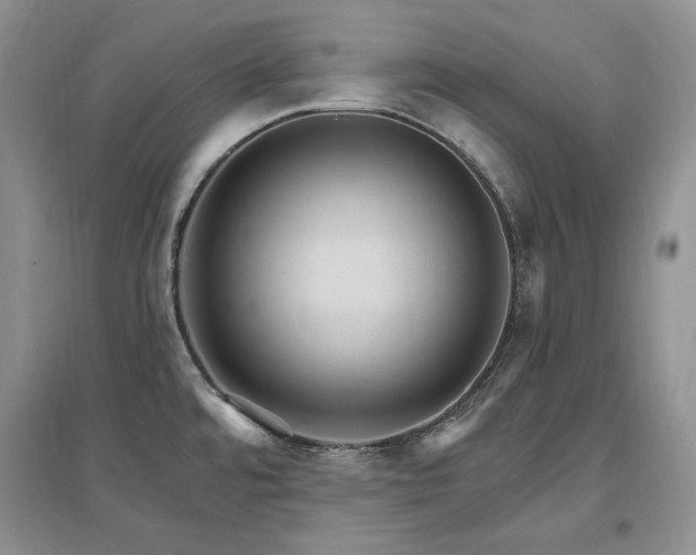 X0000097511480200802221456
