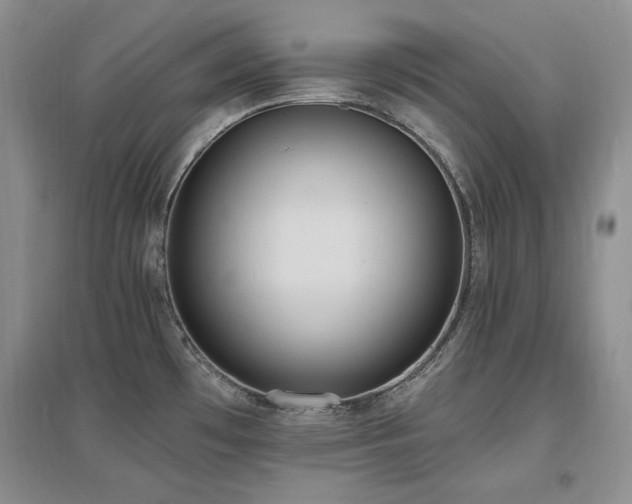 X0000097511481200802221455