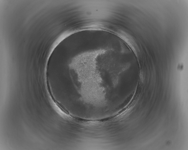 X0000097511482200802221455