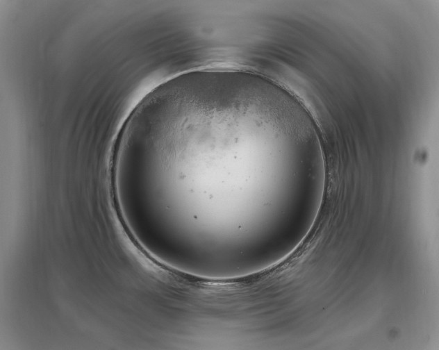 X0000097511483200802221455