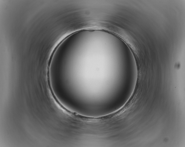 X0000097511484200802221455