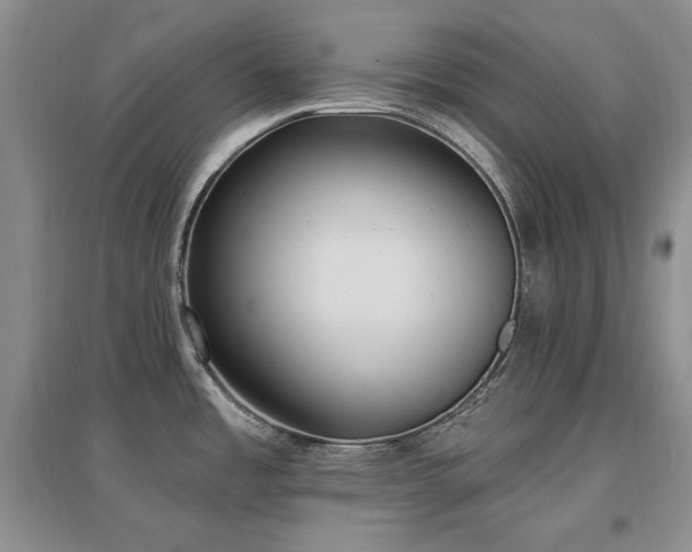 X0000097511485200802221455