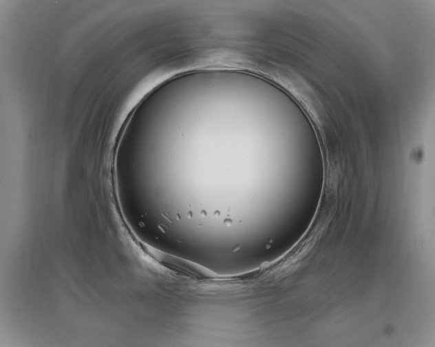 X0000097511486200802221455