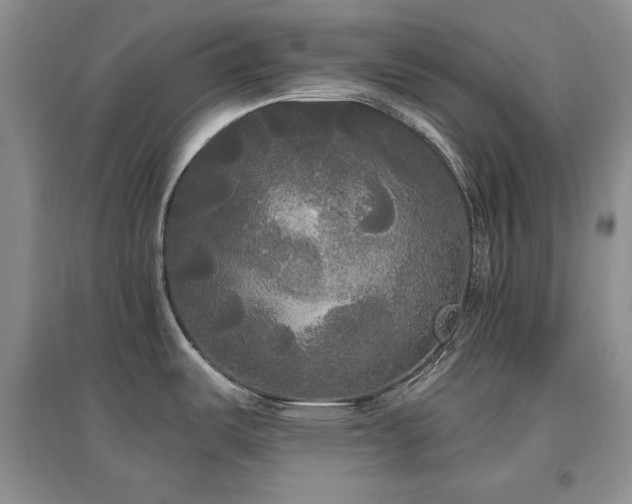 X0000097511487200802221455