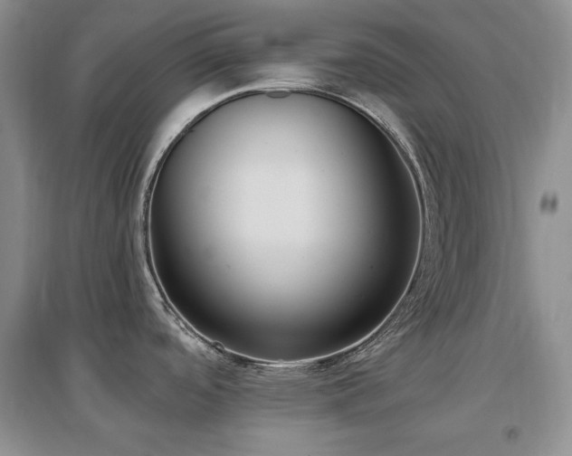 X0000097511488200802221455