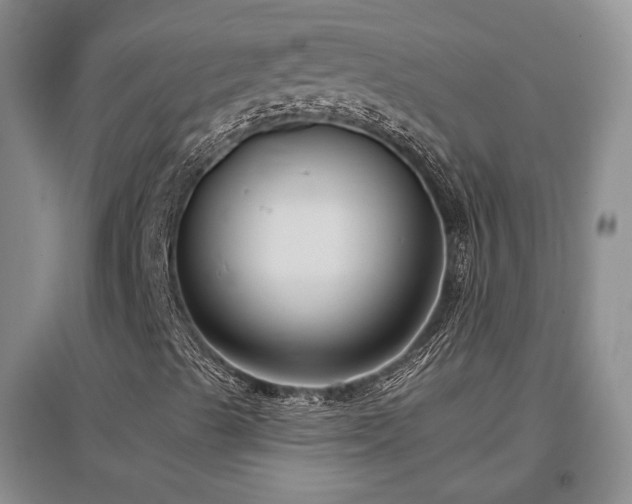 X0000097511489200802221455