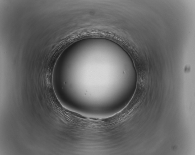 X0000097511490200802221455