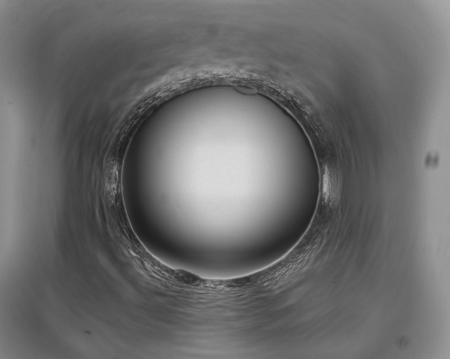 X0000097511492200802221455