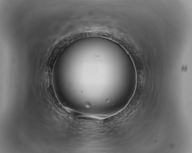 X0000097511493200802221455