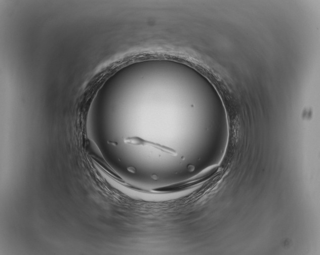 X0000097511494200802221455