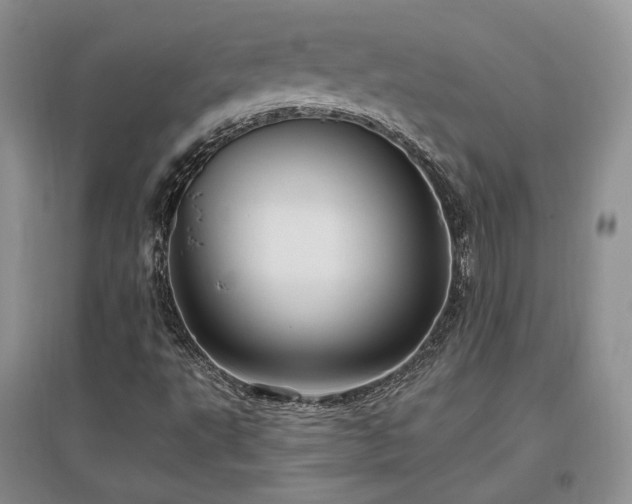 X0000097511495200802221455