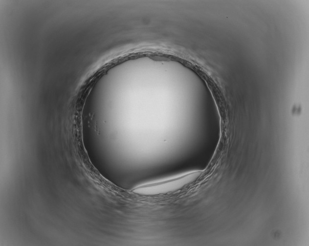 X0000097511496200802221455