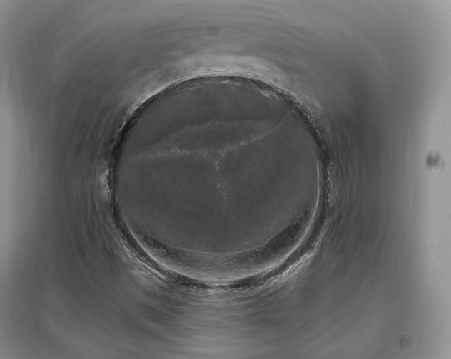 X0000097511497200802221455
