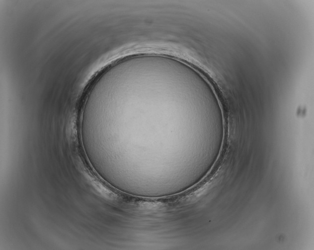 X0000097511498200802221455