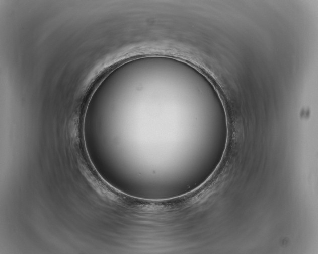X0000097511499200802221455