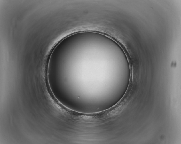 X0000097511500200802221455