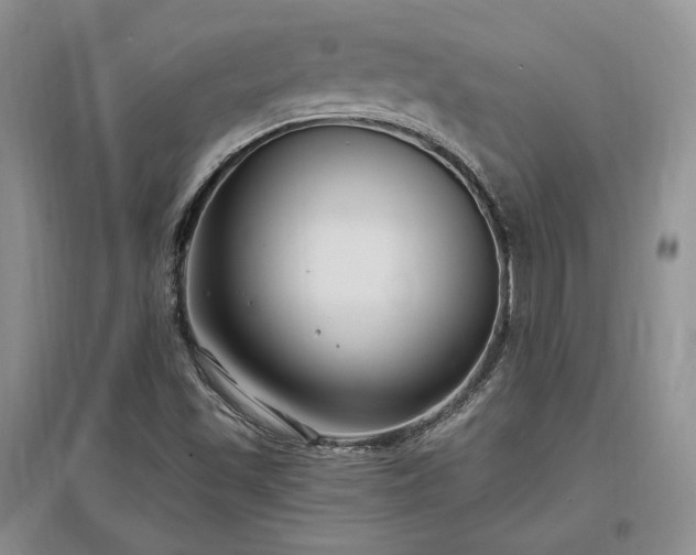 X0000097511501200802221455
