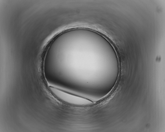 X0000097511502200802221455