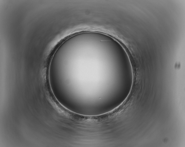 X0000097511503200802221455