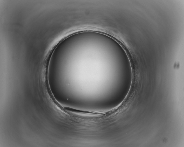 X0000097511504200802221455