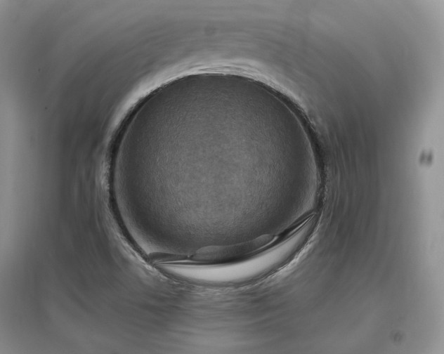 X0000097511506200802221455