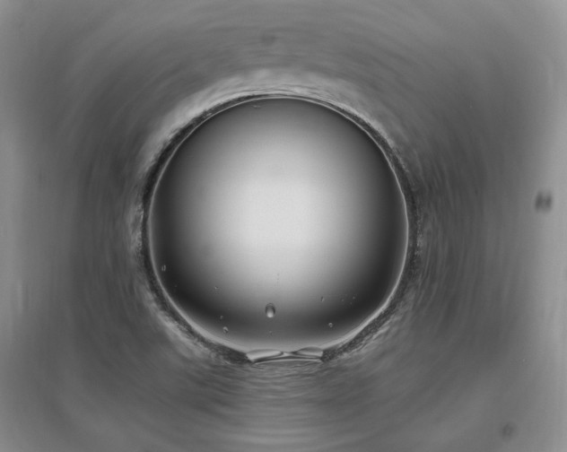 X0000097511507200802221455