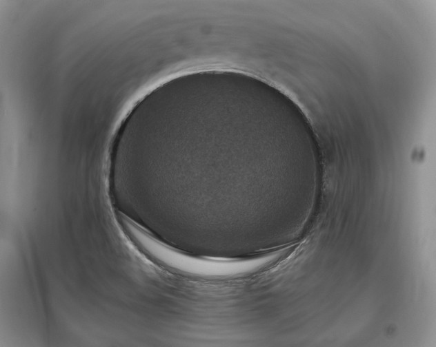 X0000097511508200802221455
