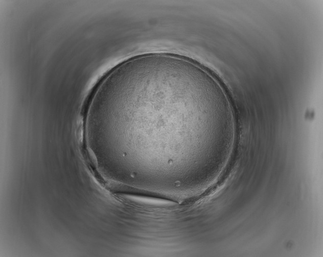 X0000097511509200802221455