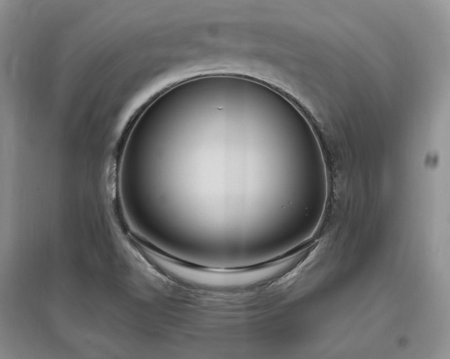 X0000097511510200802221455