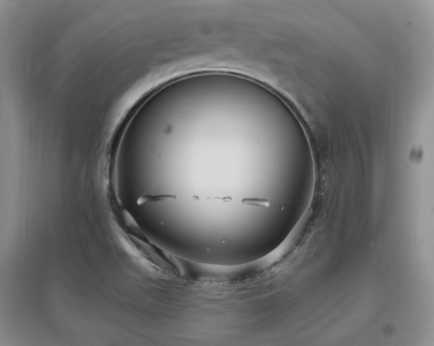 X0000097511511200802221455