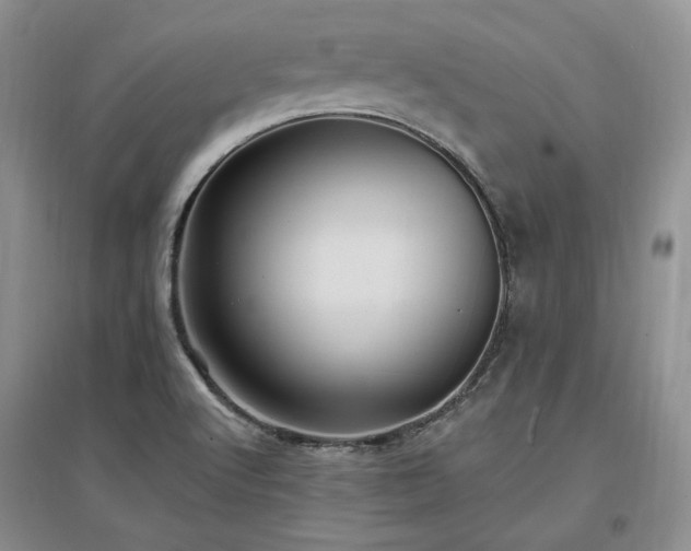 X0000097511512200802221455