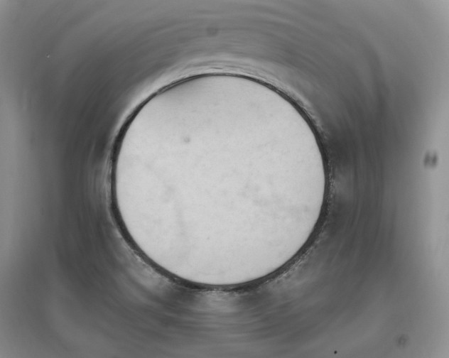 X0000097511514200802221455