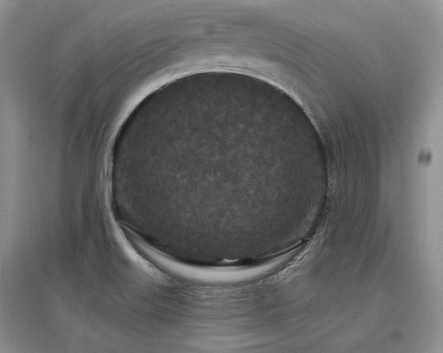 X0000097511515200802221455