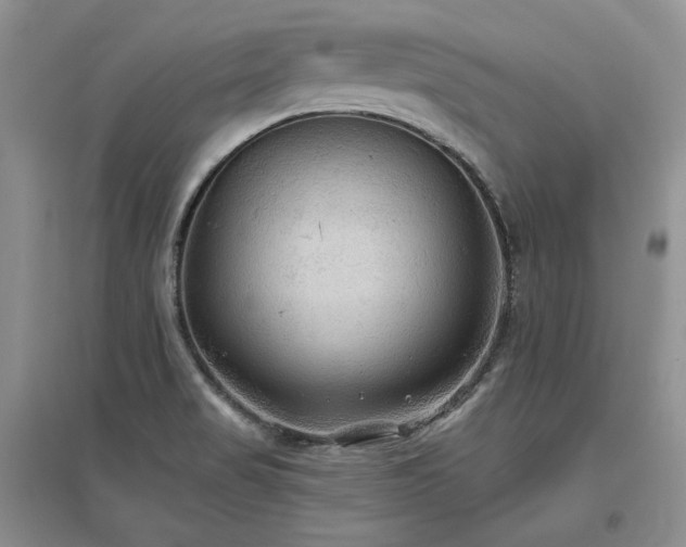 X0000097511517200802221455