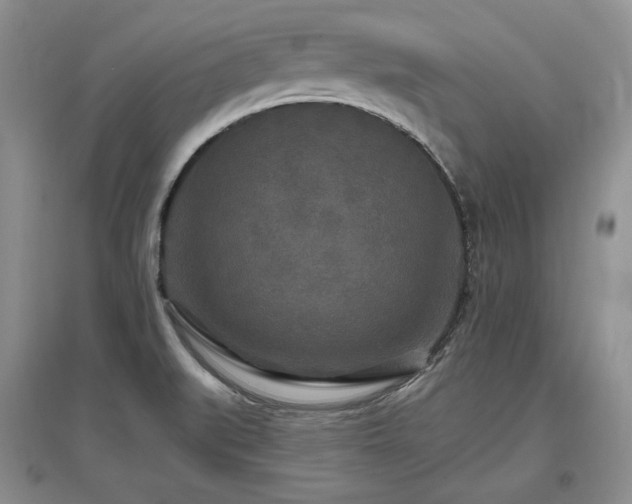 X0000097511519200802221455