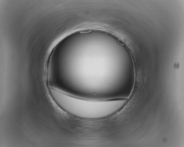 X0000097511520200802221455