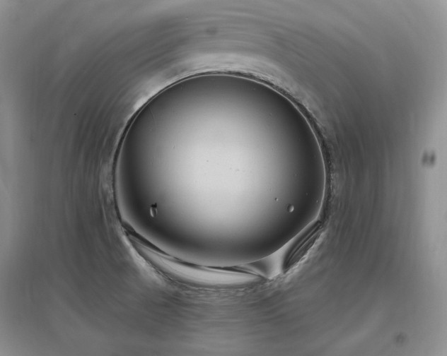 X0000097511521200802221455
